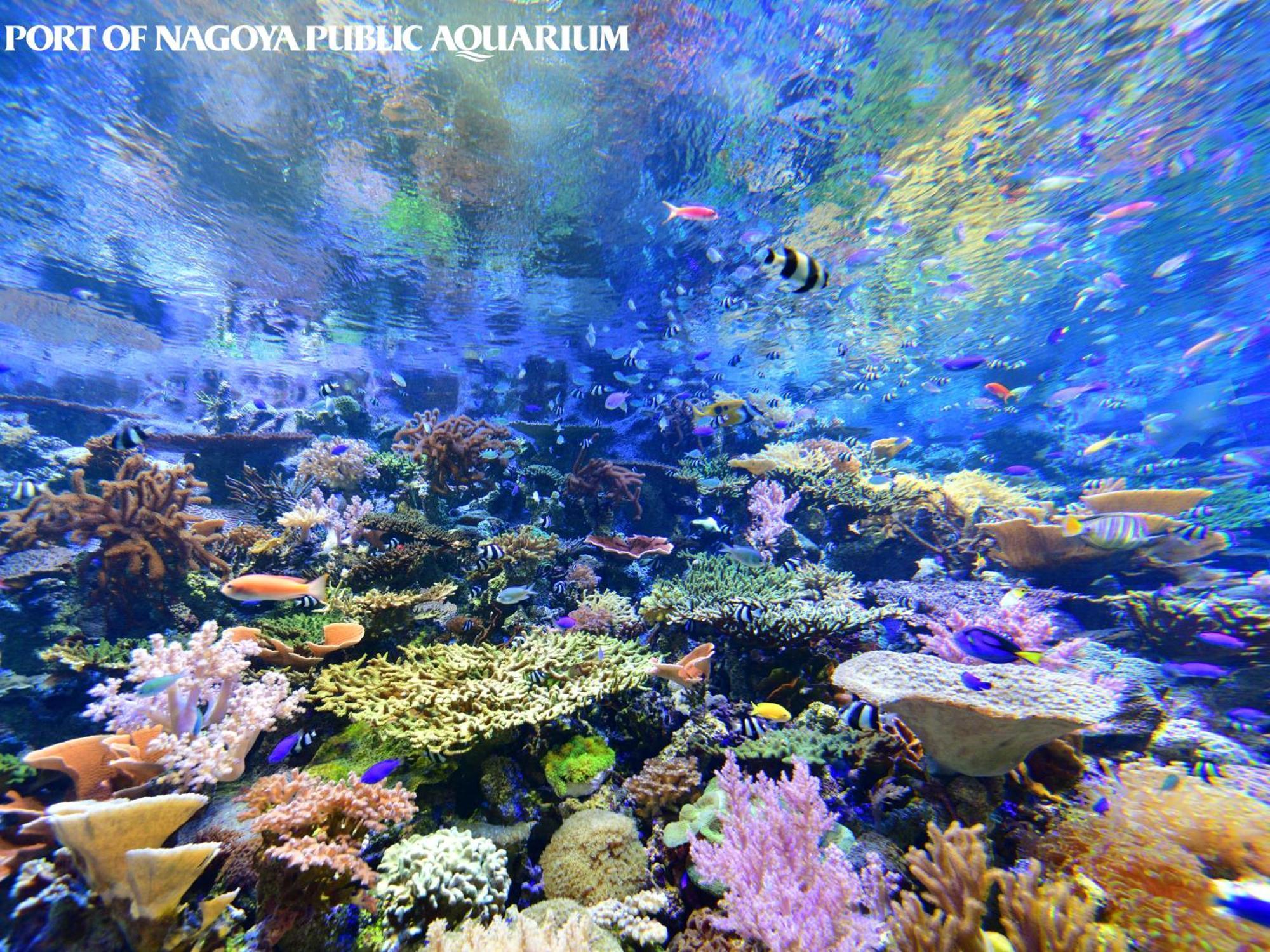 Vessel Hotel Campana Nagoya Dış mekan fotoğraf